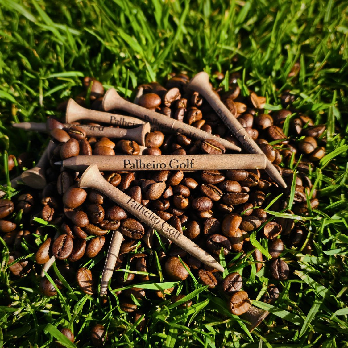 sustainable Coffee tees logo